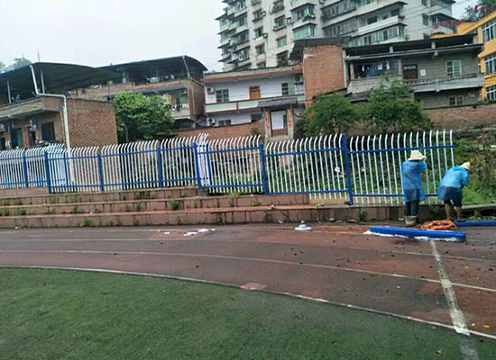 重慶鋅鋼青青草成人在线